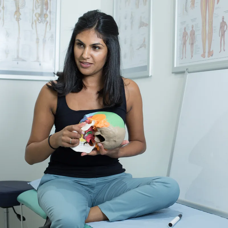 Explaining cranial anatomy with a model