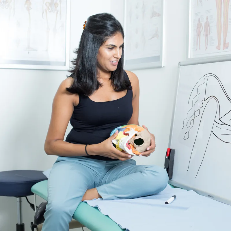 Displaying a jaw anatomical model