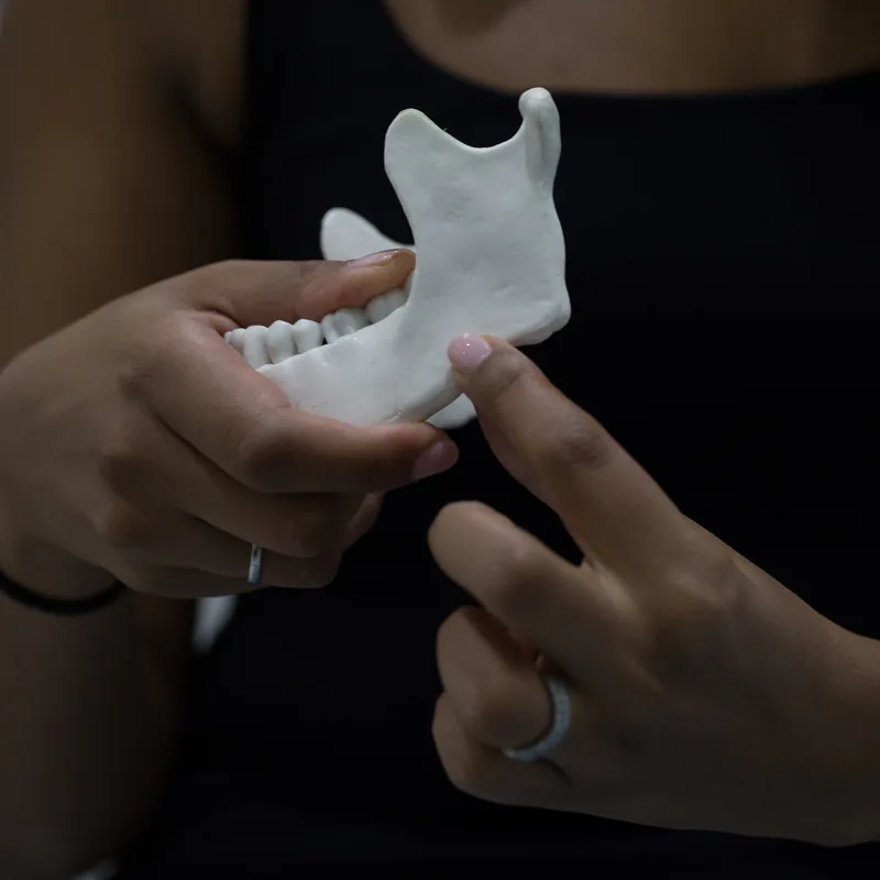 Demonstrating with a jaw model
