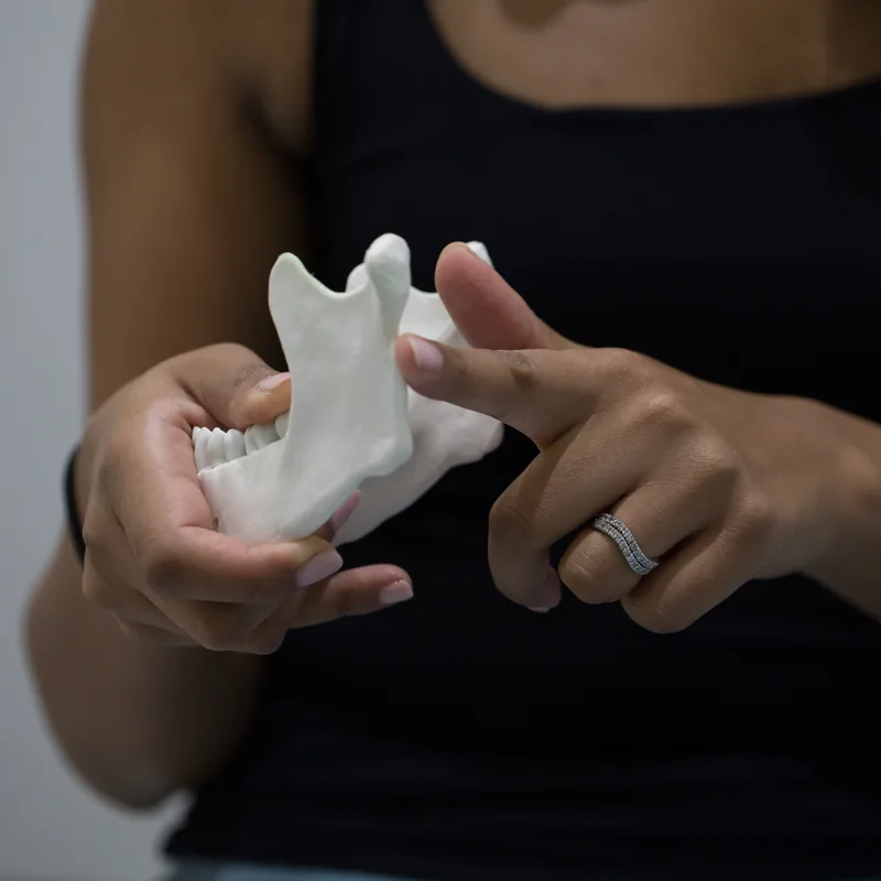 Demonstrating jaw anatomy with model