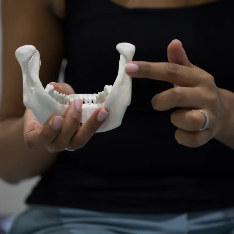 Explaining mandibular anatomy